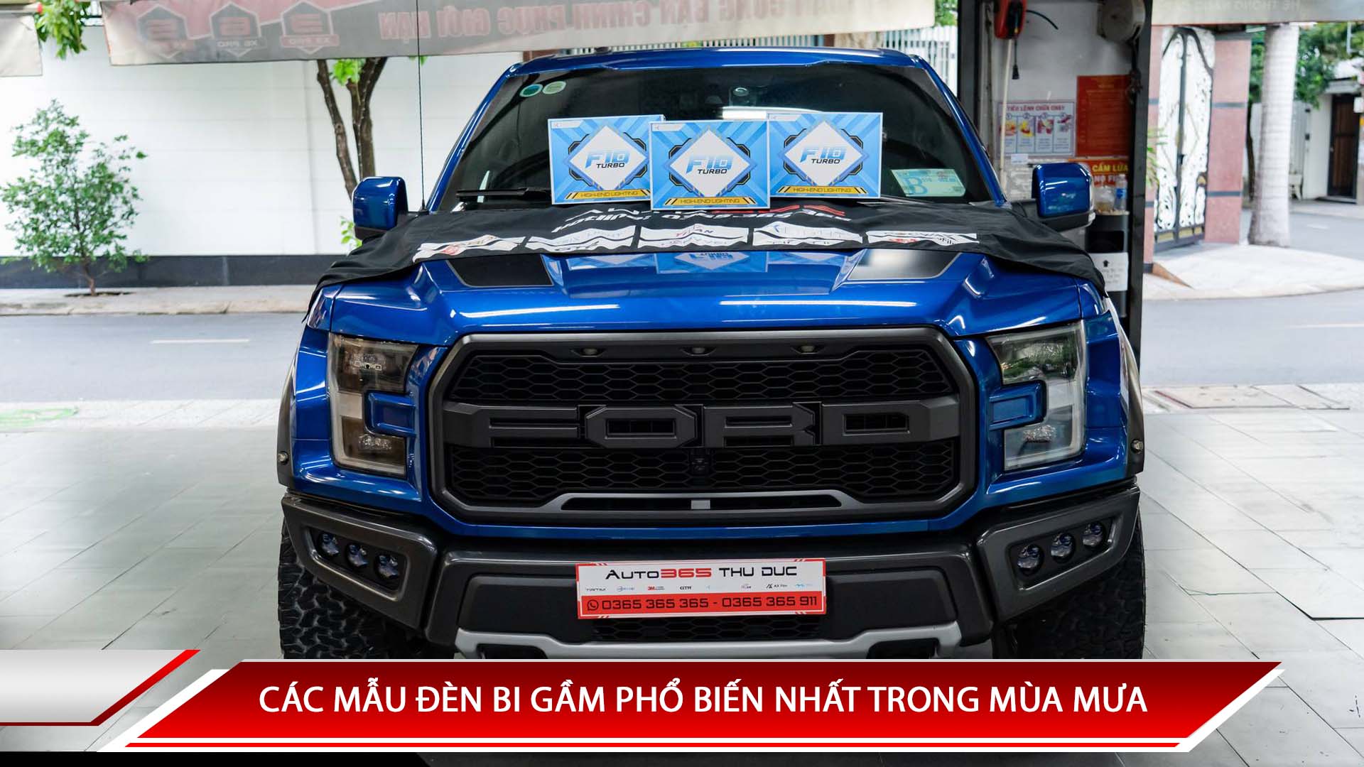 CÁC MẪU ĐÈN BI GẦM PHỔ BIẾN NHẤT TRONG MÙA MƯA 2024
